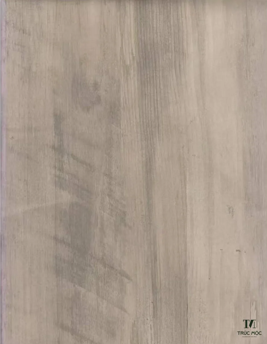 Bề mặt Melamine DS6601 DS6601