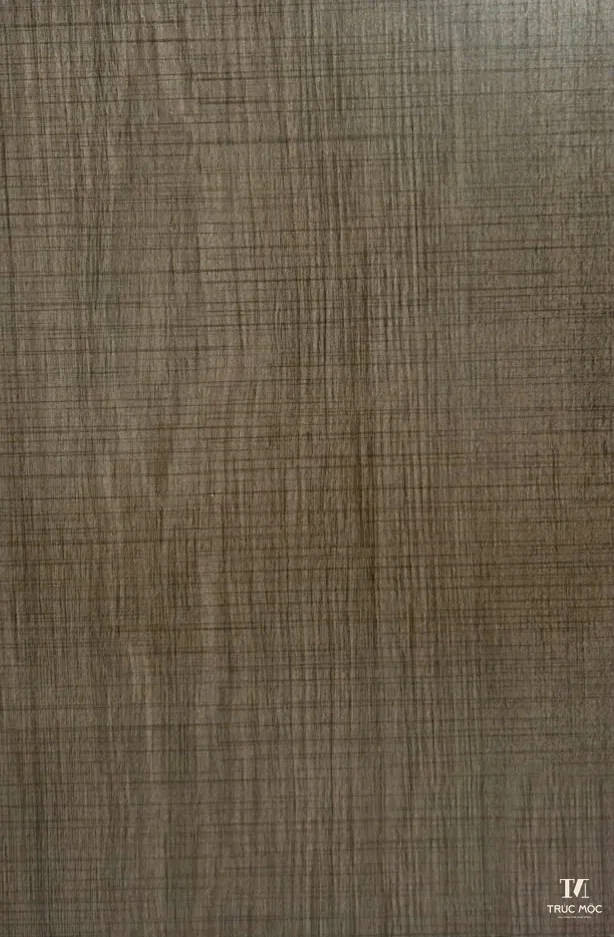 Bề mặt Melamine DS6669 DS6669