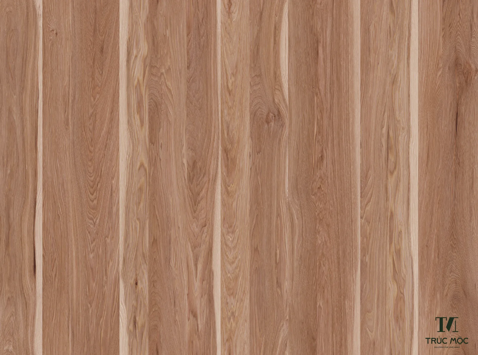 Bề mặt Melamine E6834 E6834