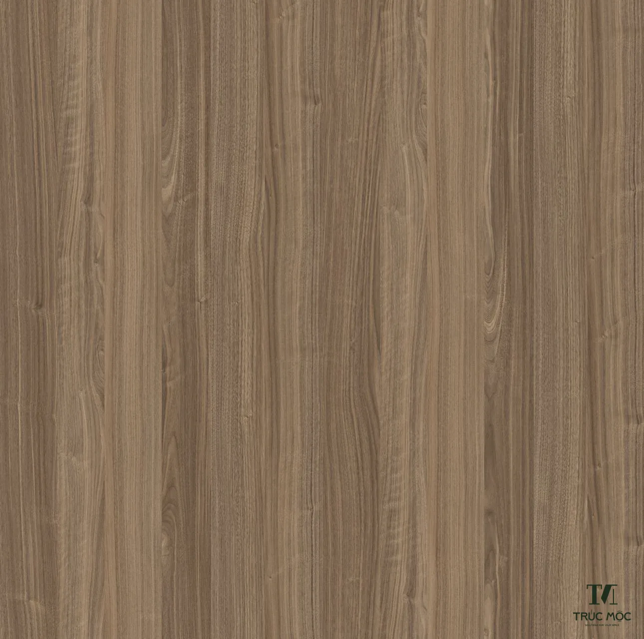 Bề mặt Melamine E8001 E8001